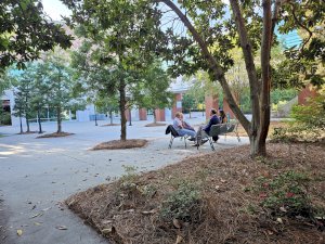 Image shows people sitting on park benches in the shade of native trees at the WMS Congress in Charleston, South Carolina.