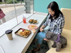 Dr Chan sits on a bench in front of a window table of a cafe, wearing a checked shirt and jeans. her small, grey dog is on the seat next to her and she is feeding it from the food in front of her.